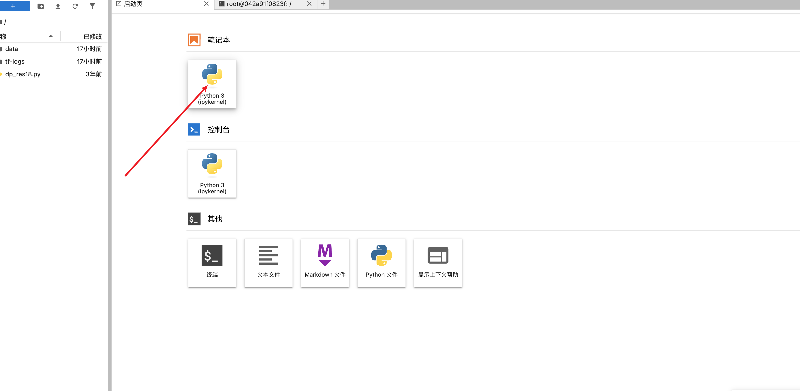 使用Notebook
