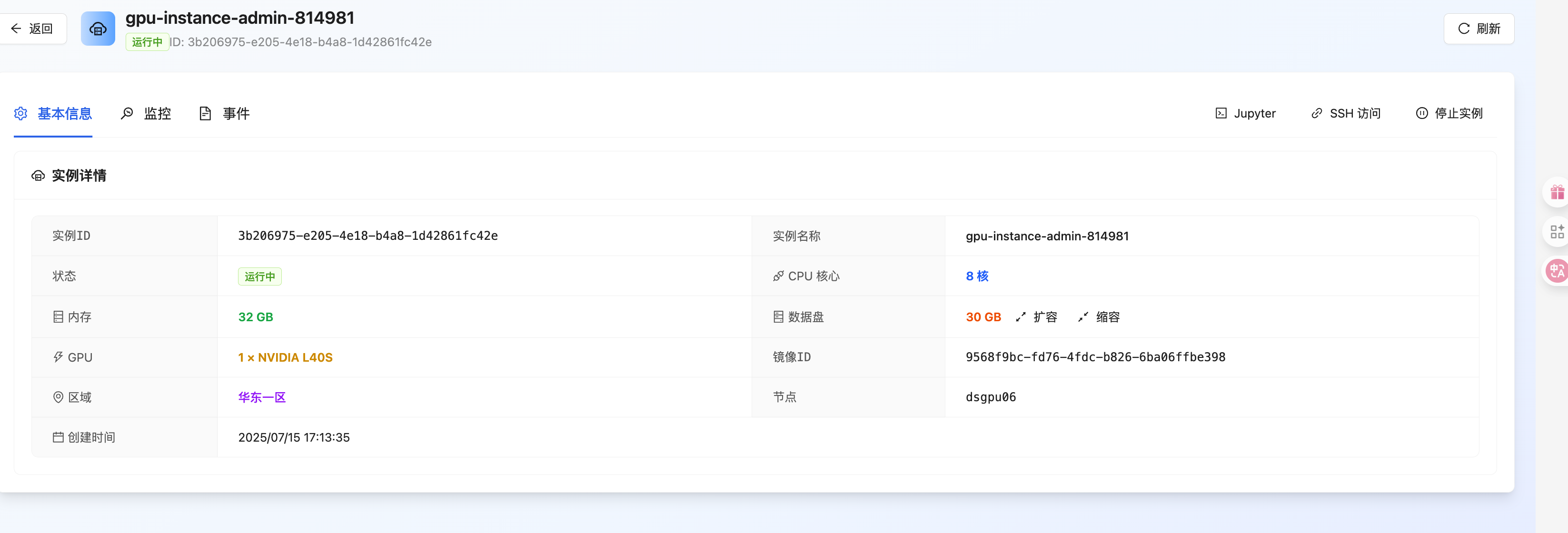 Instance Details Interface
